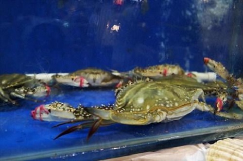 防騙在行動(dòng)，手工之家提醒大家買海鮮注意這幾點(diǎn)，可以不上當(dāng)受騙