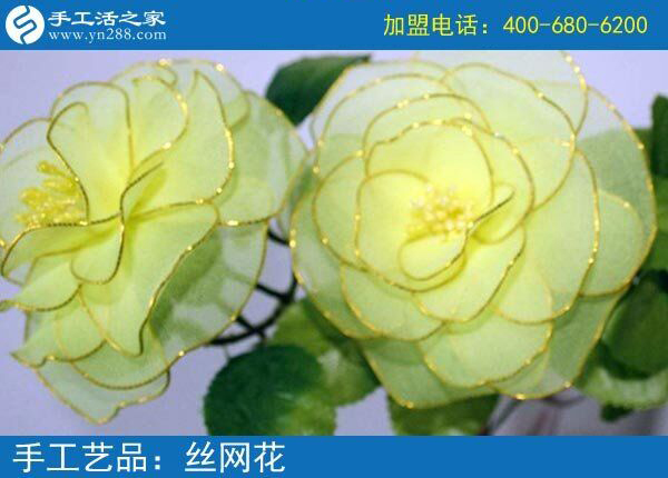 你見過這么漂亮的絲網花嗎？純手工制作廢物利用 花的世界花的海洋！(圖4)