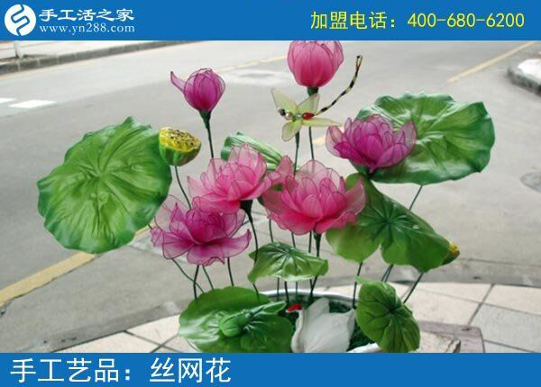 你見過這么漂亮的絲網花嗎？純手工制作廢物利用 花的世界花的海洋！(圖5)