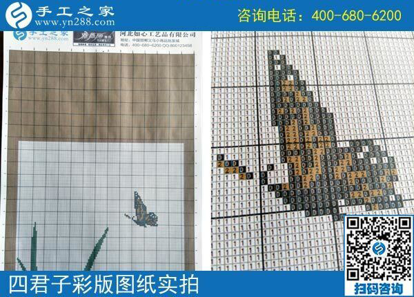 手工之家雅薇麗珠繡圖紙（梅蘭竹菊）新款，彩色升級版！(圖2)