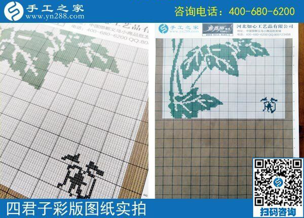 手工之家雅薇麗珠繡圖紙（梅蘭竹菊）新款，彩色升級版！(圖3)