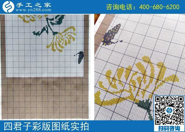 手工之家雅薇麗珠繡圖紙（梅蘭竹菊）新款，彩色升級版！(圖4)