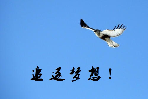 追夢路上，付出和堅守就是成功的秘訣-------手工之家新疆阿克蘇地區(qū)某加工會員成長記(圖1)