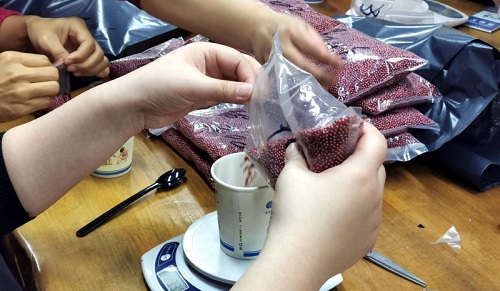 加班到夜里十點(diǎn)，要讓珠繡外發(fā)材料盡快到加工人員的手中(圖5)