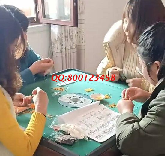 3月9日，想接正規(guī)廠家的手工活，拿回家做的手工活，這里的珠繡寄發(fā)材料手工活值得擁有，手工之家接待考察加工客戶(hù)剪影