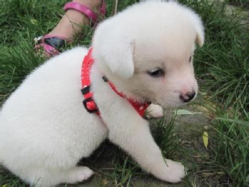 防騙在行動(dòng)，手工之家提醒大家，生活中這些“”的騙局要知道(圖3)