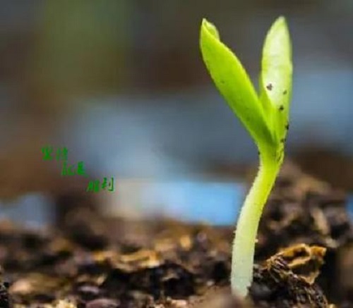 這五點(diǎn)銷售心理做好了，微商也就會(huì)越來越成功(圖1)