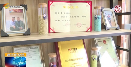 用心去種，才能成就一棵能擋雨納涼的大樹 --- --- 手工之家植樹節(jié)有感