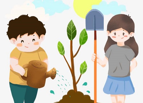 用心去種，才能成就一棵能擋雨納涼的大樹 --- --- 手工之家植樹節(jié)有感