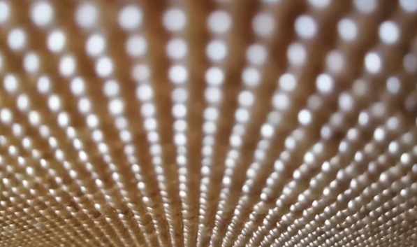 7月31日，可靠的手工活外發(fā)，在家做手工兼職，月末月初，手工之家對要做手工活掙錢的人這樣說，圖為勵志珠珠繡串珠手工產(chǎn)品剪影