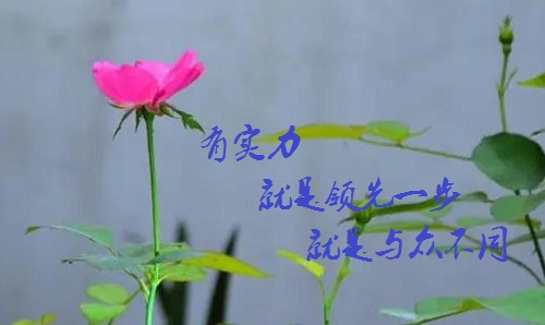 手工活接單正規(guī)平臺，有實(shí)力的手工廠家是啥樣的？