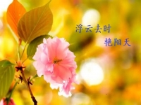 不一樣的五·一，用一樣的心去努力
