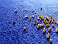 串珠手工活，漂亮又簡(jiǎn)單好做的居家兼職