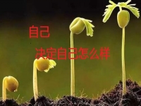 能在家做的手工副業(yè)，你是否能做純手工項(xiàng)目掙錢？