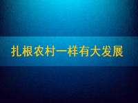 在家能做的兼職正規(guī)可靠，扎根農(nóng)村一樣有大發(fā)展