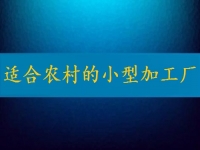 適合農(nóng)村的小型加工廠，月入2萬不算多，你有時間也能做