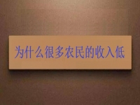 為什么很多農(nóng)民的收入低？這2點(diǎn)做好了，在家兼職手工活收入是杠杠滴
