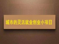適合城市靈活就業(yè)創(chuàng)業(yè)的小項(xiàng)目，正規(guī)純手工多了1項(xiàng)收入