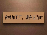 這個(gè)農(nóng)村加工廠(chǎng)項(xiàng)目，沒(méi)關(guān)系、沒(méi)錢(qián)也可以做好，你還等什么？