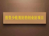 投資不到3萬(wàn)，1個(gè)人就能干，利潤(rùn)很高，每天收入能上千，我能做嗎