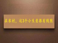 都說在農(nóng)村不好賺錢，可以試試這幾個小生意，很有“錢”圖