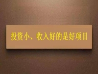投資這么小，為什么收入?yún)s能這樣好？這個拿回家做的手工項目給出了答案