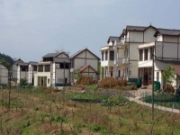 2024年，除了手工活加工，農(nóng)村還有哪些致富項目，簡單好做投資小的