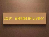 2024年，在村里創(chuàng)業(yè)還有什么好機會？