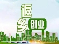 除了種地，不外出打工，在農(nóng)村還能怎樣掙錢？很多人低成本創(chuàng)業(yè)做手工傳承官