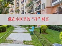 在城里創(chuàng)業(yè)辦純手工加工廠，就是找到了藏在小區(qū)里的“凈”財(cái)富