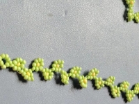 7月19日，附近有沒有兼職手工活，在家做的手工副業(yè)，開手工加工廠，做手工傳承官，在手工之家，每一種合作都有成熟的服務(wù)和支持，圖為串珠米珠繡純手工產(chǎn)品剪影
