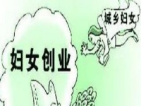 農(nóng)村創(chuàng)業(yè)、城市創(chuàng)業(yè)，家庭主婦等女士做手工傳承官都是自帶優(yōu)勢