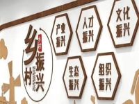 不打工，在農(nóng)村做什么好？不負(fù)時光，純手工活兒整出好“錢”景