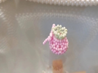 9月3日，手工兼職創(chuàng)業(yè)在家做是真的，微創(chuàng)業(yè)做手工工作室，在家做的好手工，手工之家有實力，合作起來踏實放心，圖為串珠米珠繡純手工產(chǎn)品剪影