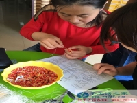 黑龍江大慶閆女士來手工活之家網(wǎng)做串珠繡外發(fā)項目了，給您致富支招