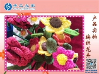 手工之家毛線編織花卉展示，一種居家裝飾的傳統(tǒng)唯美藝術(shù)