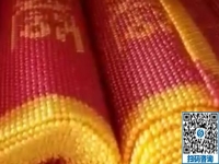 做手工活加工事業(yè)，沒有任何門檻，男士也很青睞