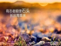 做微商賺不到錢？你是不是犯了這個(gè)錯(cuò)誤